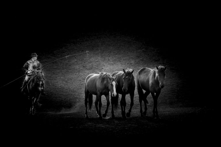 Yao Shaojun - Black-and-white-image-6